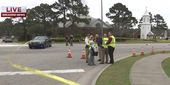 mardi_gras_11860.jpg