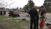 mardi_gras_23202.jpg