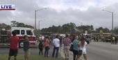 mardi_gras_56533.jpg