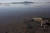 aptopix_peru_titicaca_contamination_48409.jpg