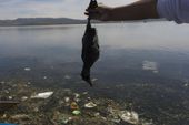 peru_titicaca_contamination_98715.jpg