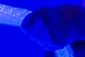 exchange-sensory_room_00143.jpg