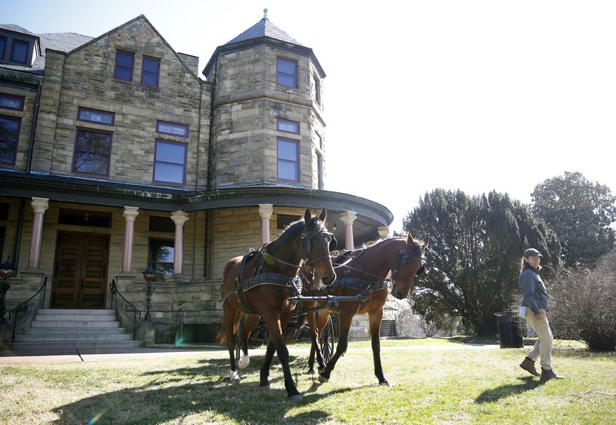 ADVANCE FOR MONDAY, MARCH 6, 2017 - In this Friday, Feb. 17, 2017 photo, Solo and Artie, Maymont's carriage horses pose for photos as they walk around the grounds led by Bobbie Franks, assistant manager of the carriage department in Richmond, Va. (Shelby Lum/Richmond Times-Dispatch via AP)