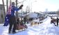 iditarod-things_to_know_90364.jpg