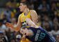 hornets_nuggets_basketball_88696.jpg