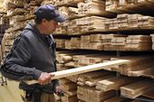 timber_mill-conservation_52728.jpg