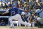 rays_blue_jays_baseball_36247.jpg
