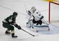 sharks_wild_hockey_99479.jpg