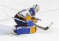blues_wild_hockey_95153.jpg