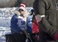 iditarod_trail_sled_dog_race_30745.jpg