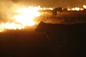 kansas_wildfire_19292.jpg
