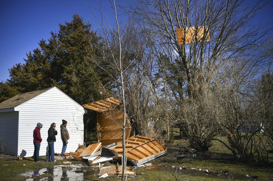Residents look at their destroyed shed and a sheet of plywood was lodged in a tree after a likely tornado passed through Monday night in Clarks Grove, Tuesday, March 7, 2017. Weather experts say a likely tornado touched down northwest of the Twin Cities, taking down trees and power lines and damaging buildings. (Glen Stubbe/Star Tribune via AP)