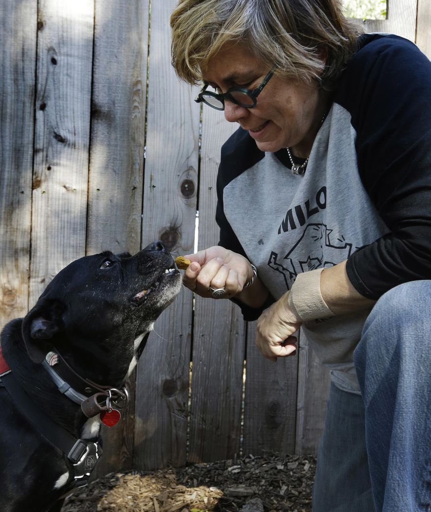 In this photo taken on Tuesday, Feb. 14, 2017, Lynne Tingle administers a hemp based biscuit as a medicinal treatment to a dog at the Milo Foundation pet adoption center in Richmond, Calif. As more states legalize marijuana for humans, more pet owners are giving their furry companions cannabis-based extracts, ointments and edibles marketed to treat everything from arthritis and anxiety to seizures and cancer. (AP Photo/Ben Margot)
