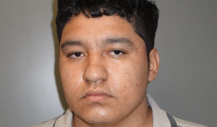 Oliver Funes Machada, 18, is charged with first-degree murder in the stabbing and decapitating of his mother. Authorities say he is in the U.S. illegally, and federal agents want to pick him up for deportation if he is released from jail. (Associated Press)