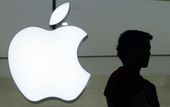 Bull_Market-Eight_Facts_79357.jpg-4a413.jpg