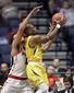 sec_missouri_mississippi_basketball_06311.jpg