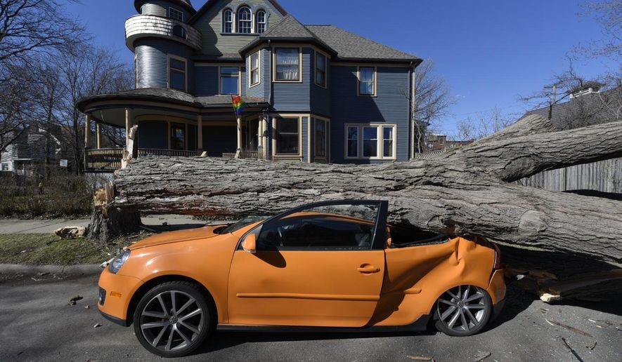 A Volkswagon owned by Lincoln Russell sits crushed under a tree in the Woodbridge neighborhood of Detroit, Wednesday, March 8, 2017, as strong winds moved through. (David Guralnick/Detroit News via AP)