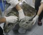 thailand_turtle_trouble_35150.jpg