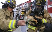 iguana_rescue_04516.jpg