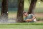 valspar_golf_30788.jpg