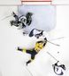 jets_predators_hockey_11255.jpg