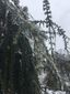 3_142017_snow-shelter-image58201.jpg