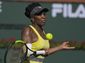 indian_wells_tennis_55240.jpg