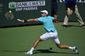 indian_wells_tennis_71542.jpg