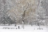 winter_weather_massachusetts_61335.jpg
