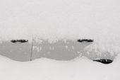 winter_weather_pennsylvania_87117.jpg