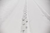 winter_weather_pennsylvania_95074.jpg