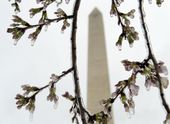 winter_weather_washington_34696.jpg
