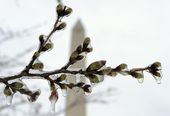 winter_weather_washington_79624.jpg