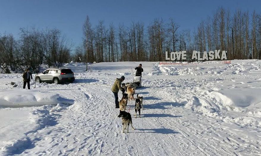 A Skookum Expeditions sled dog team helps pull a tourist's stuck car out of the snow on the Chena River near Pike's Landing in Fairbanks, Alaska, Sunday, March 12, 2017. The nine dog-powered sled team had plenty of power with a little digging, pushing and pulling they managed to free the vehicle and send the tourists on their way. (Neil Eklund via AP)