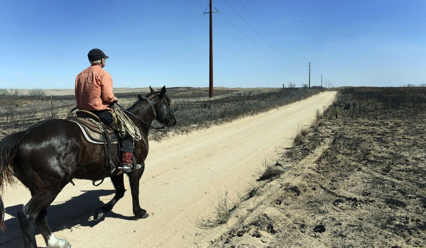 ADVANCE FOR WEEKEND EDITIONS MARCH 19, 2017 AND THEREAFTER - FILE - In this March 7, 2017, file photo, David Crockett rides the scorched prairie of Franklin Ranch searching for injured cattle after wildfires raced across Gray County, Texas driven by 50 mph winds. When wildfires scorched more than 1 million acres in early March cross parts of the Texas Panhandle, Oklahoma and Kansas, weather forecasters used a new weather satellite to see the infernos developing, almost in real-time. (Michael Schumacher/The Amarillo Globe News via AP, File)