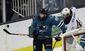 sabres_sharks_hockey_28082.jpg