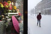 winter_storm_maine_93766.jpg