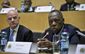 ethiopia_african_election_93100.jpg