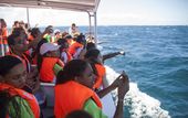 dominican_republic_whale_therapy_86397.jpg