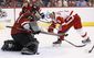 red_wings_coyotes_hockey_42018.jpg