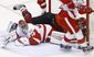 red_wings_coyotes_hockey_42977.jpg