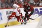 red_wings_coyotes_hockey_87570.jpg