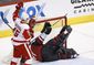 red_wings_coyotes_hockey_98587.jpg