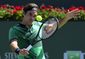 indian_wells_tennis_74000.jpg