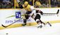 coyotes_predators_hockey_95662.jpg