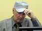 aptopix_netherlands_war_crimes_mladic_61819.jpg