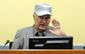 netherlands_war_crimes_mladic_55882.jpg