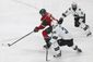 sharks_wild_hockey_02643.jpg