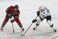 sharks_wild_hockey_66621.jpg