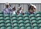 miami_open_tennis_73697.jpg